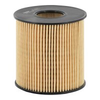 FILTRON OE 666/1 Ölfilter