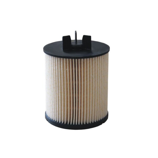 FILTRON PE 973/5 Kraftstofffilter