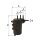 Kraftstofffilter FILTRON PS 980/2 - 1 Stück