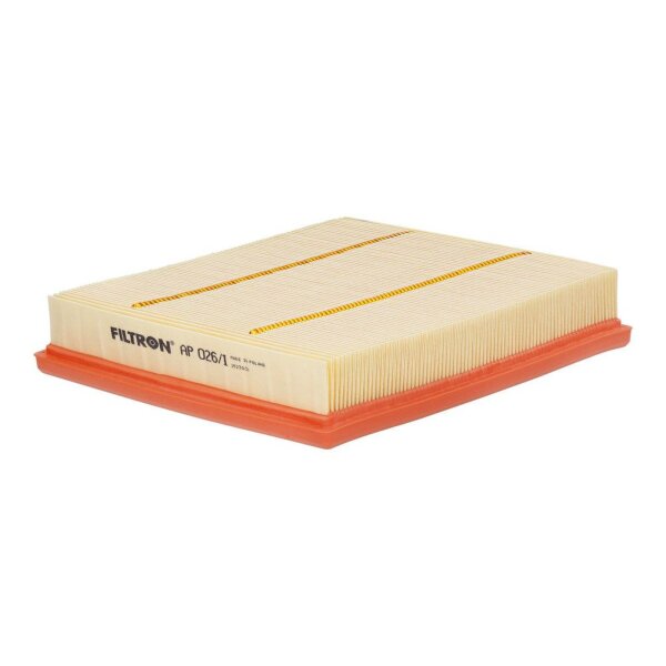 FILTRON AP 026/1 Luftfilter