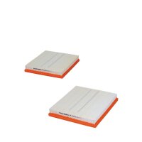 FILTRON AP 034/6-2x Luftfilter