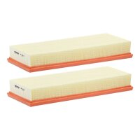 FILTRON AP 118/3-2x Luftfilter