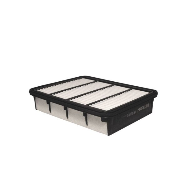 FILTRON AP 120/1 Luftfilter