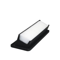 FILTRON AP 122/3 Luftfilter
