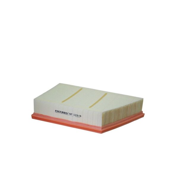 FILTRON AP 129/8 Luftfilter