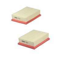 FILTRON AP 149/2-2x Luftfilter
