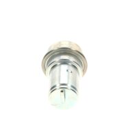 BOSCH 0 438 170 004 Druckspeicher, Kraftstoffdruck