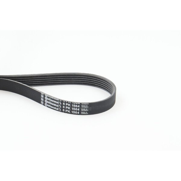 CONTINENTAL CTAM 6PK1564 Keilrippenriemen