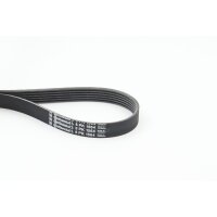 CONTINENTAL CTAM 6PK1564 Keilrippenriemen
