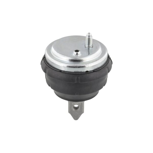 TOPRAN 500 280 Lagerung, Motor