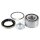SNR R169.52 Radlagersatz