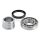 SNR R177.23 Radlagersatz