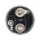 AS-PL SS3012 Magnetschalter, Starter