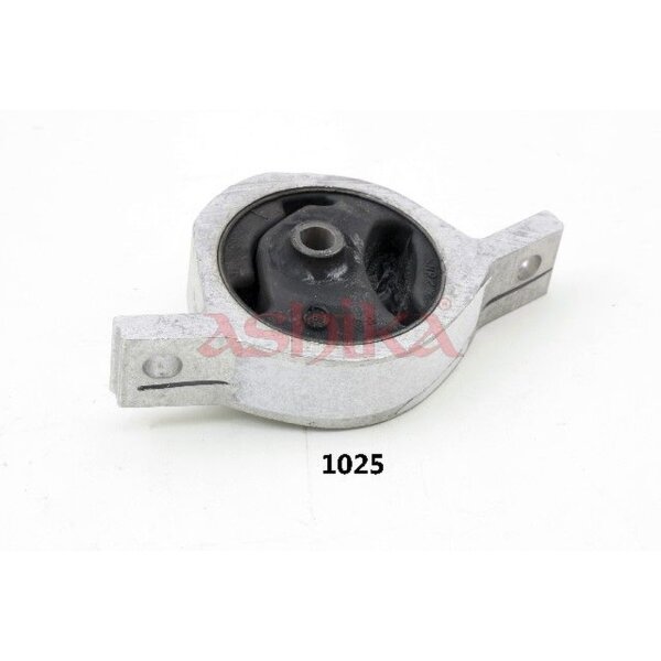 ASHIKA GOM-1025 Lagerung, Motor