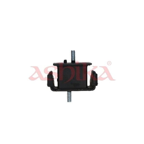 ASHIKA GOM-807 Lagerung, Motor