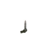 Einspritzdüse BOSCH 0 445 116 029 - 1 Stück