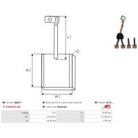 AS-PL SB6017 Kohlebürste, Starter