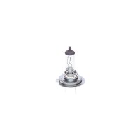 BOSCH 1 987 302 079 Glühlampe, Fernscheinwerfer