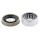 SNR R141.34 Radlagersatz