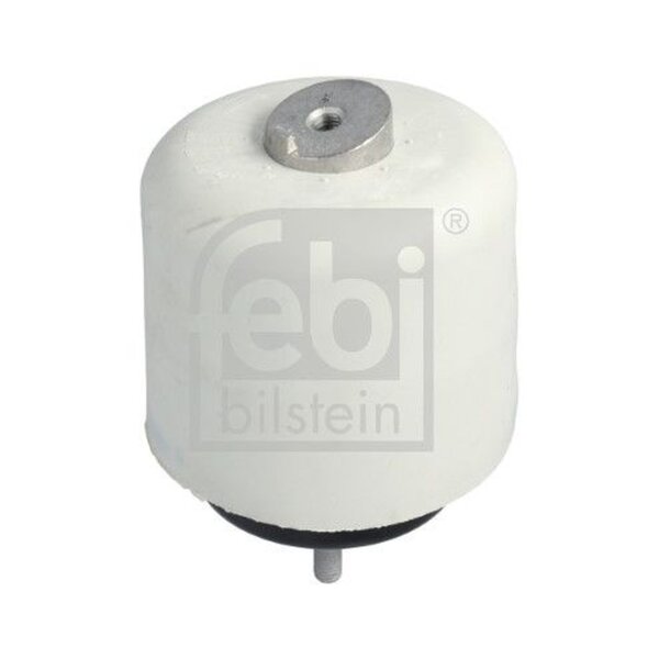 FEBI BILSTEIN 31979 Lagerung, Motor
