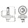 BOSCH 1 987 302 021 Glühlampe, Fernscheinwerfer