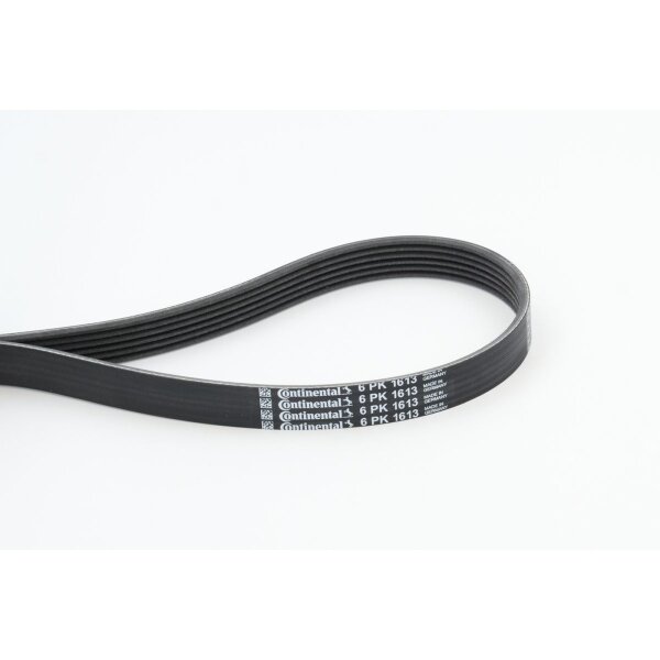 CONTINENTAL CTAM 6PK1613 Keilrippenriemen