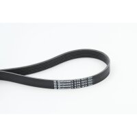 CONTINENTAL CTAM 6PK1613 Keilrippenriemen