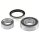 SNR R177.28 Radlagersatz