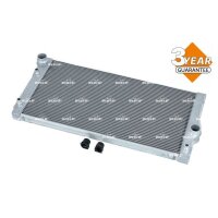 NRF 53817 Kühler, Motorkühlung