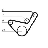 CONTINENTAL CTAM CT1107K1 Zahnriemensatz