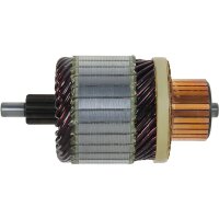AS-PL SA6008 Anker, Starter