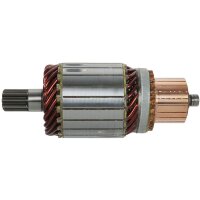 AS-PL SA6011 Anker, Starter