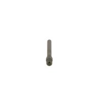 BOSCH 0 437 502 004 Einspritzventil