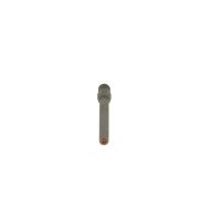 BOSCH 0 437 502 004 Einspritzventil