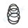 PROFLEX AUTOMOTIVE PX1-0139 Fahrwerksfeder