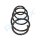 PROFLEX AUTOMOTIVE PX1-0139 Fahrwerksfeder