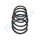 PROFLEX AUTOMOTIVE PX1-0145 Fahrwerksfeder
