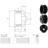 AS-PL AP0013 Riemenscheibe, Generator