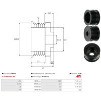 AS-PL AP0022 Riemenscheibe, Generator