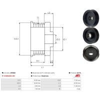 AS-PL AP5002 Riemenscheibe, Generator