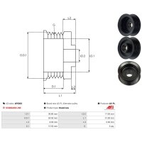 AS-PL AP5003 Riemenscheibe, Generator