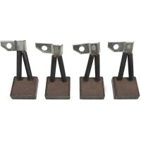AS-PL BSX100 Kohlebürste, Starter