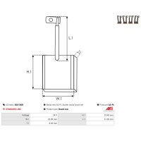 AS-PL BSX100B Kohlebürste, Starter