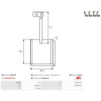 AS-PL BSX148 Kohlebürste, Starter