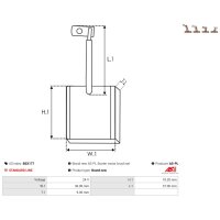 AS-PL BSX177 Kohlebürste, Starter