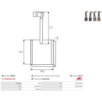 AS-PL BSX34 Kohlebürste, Starter