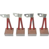 AS-PL BSX96 Kohlebürste, Starter