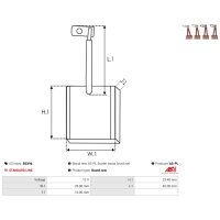 AS-PL BSX96 Kohlebürste, Starter