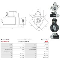 AS-PL S0213 Starter