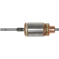 AS-PL SA0040 Anker, Starter